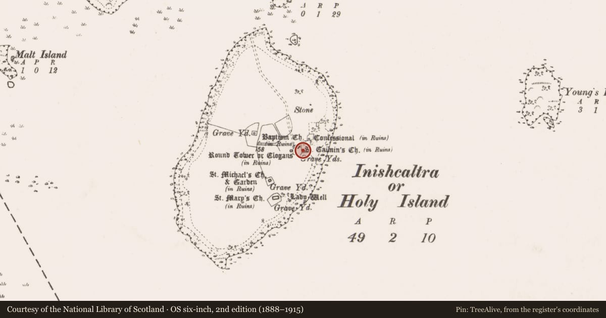 Ordnance Survey six-inch map, 2nd edition (1888–1915) covering the location of Graveyard, Inishcaltra Or Holy Island, County Clare, with a pin at the register's coordinates