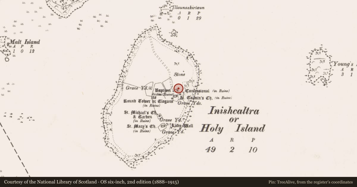 Ordnance Survey six-inch map, 2nd edition (1888–1915) covering the location of Bullaun stone, Inishcaltra Or Holy Island, County Clare, with a pin at the register's coordinates