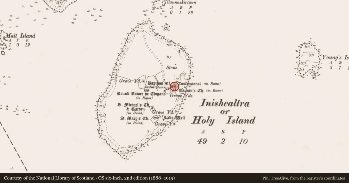 Ordnance Survey six-inch map, 2nd edition (1888–1915) covering the location of Church, Inishcaltra Or Holy Island, County Clare, with a pin at the register's coordinates
