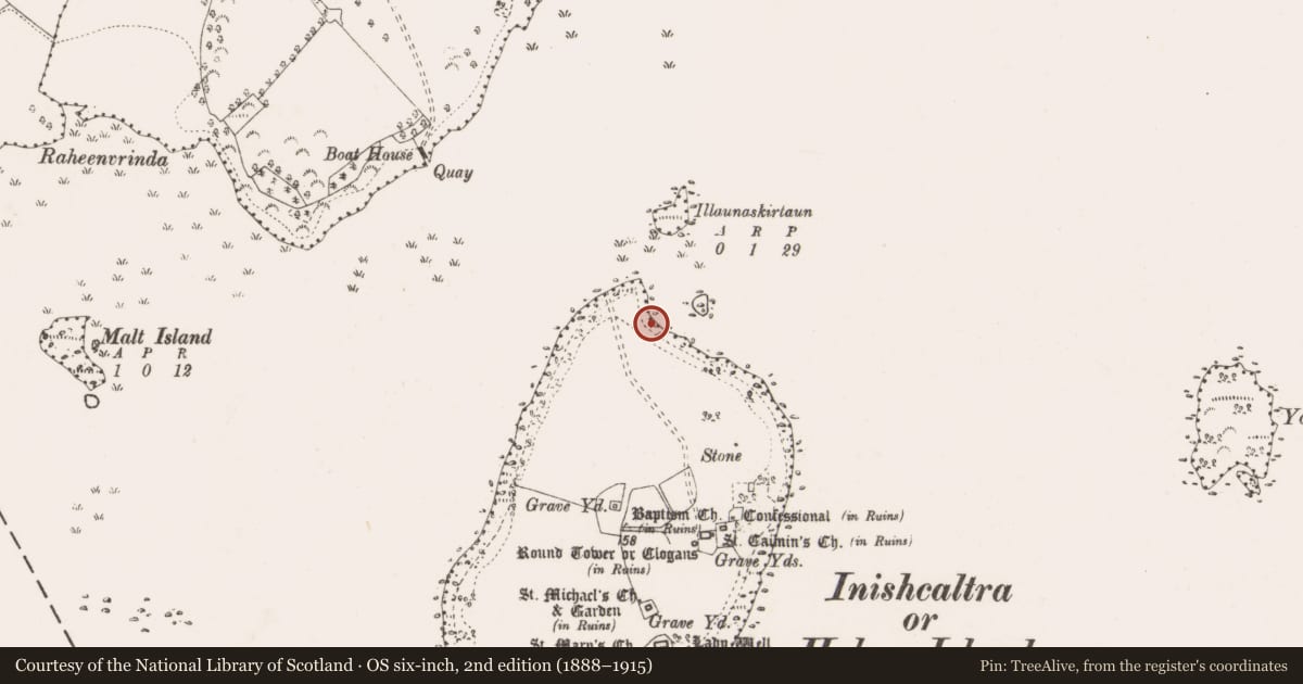Ordnance Survey six-inch map, 2nd edition (1888–1915) covering the location of Bullaun stone, Inishcaltra Or Holy Island, County Clare, with a pin at the register's coordinates