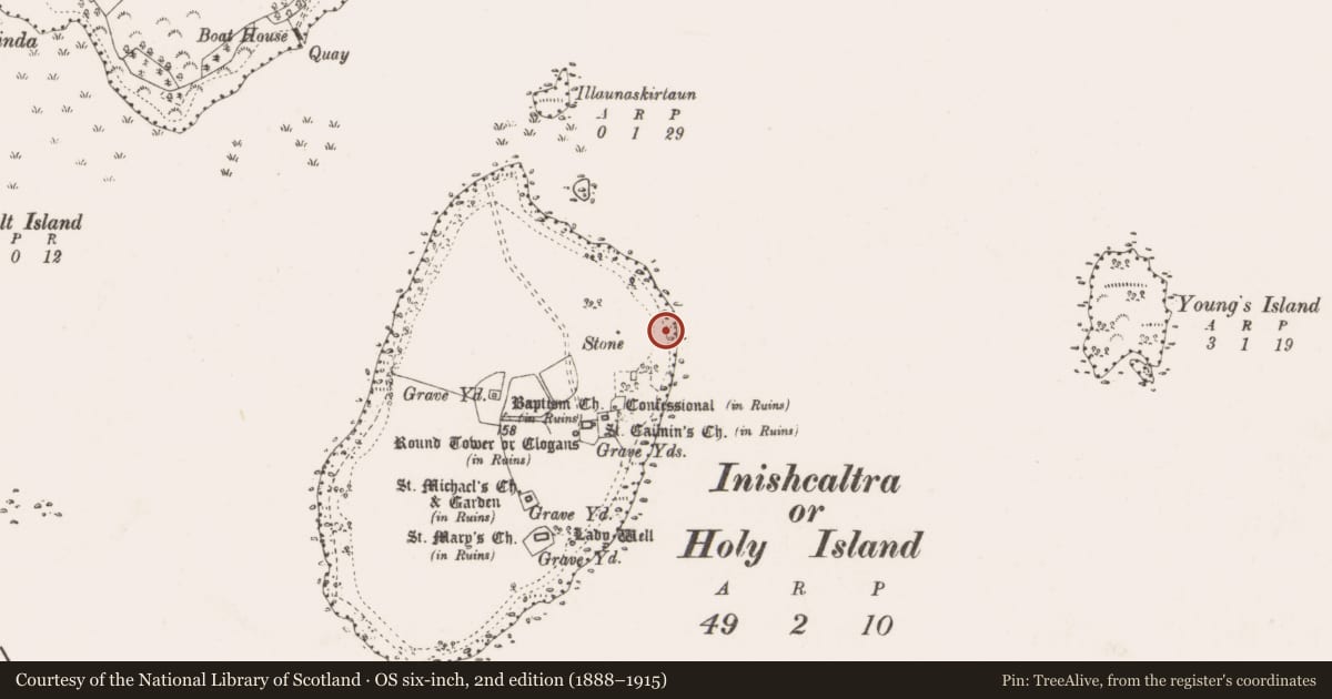 Ordnance Survey six-inch map, 2nd edition (1888–1915) covering the location of Bullaun stone, Inishcaltra Or Holy Island, County Clare, with a pin at the register's coordinates