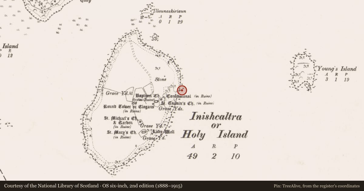 Ordnance Survey six-inch map, 2nd edition (1888–1915) covering the location of Bullaun stone, Inishcaltra Or Holy Island, County Clare, with a pin at the register's coordinates