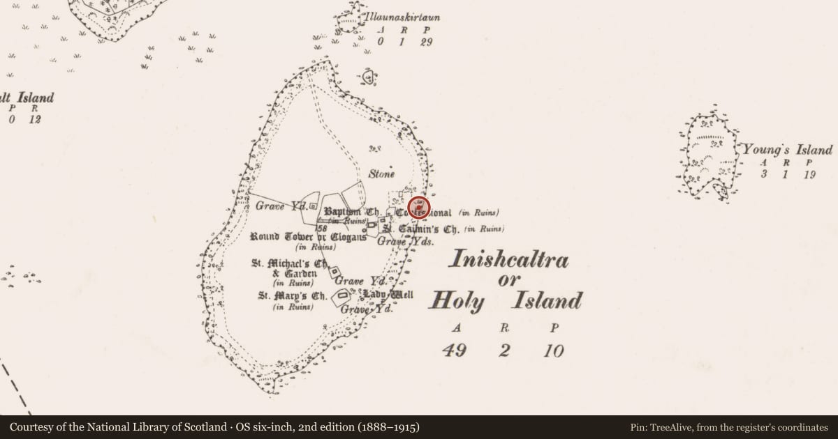 Ordnance Survey six-inch map, 2nd edition (1888–1915) covering the location of Slipway, Inishcaltra Or Holy Island, County Clare, with a pin at the register's coordinates