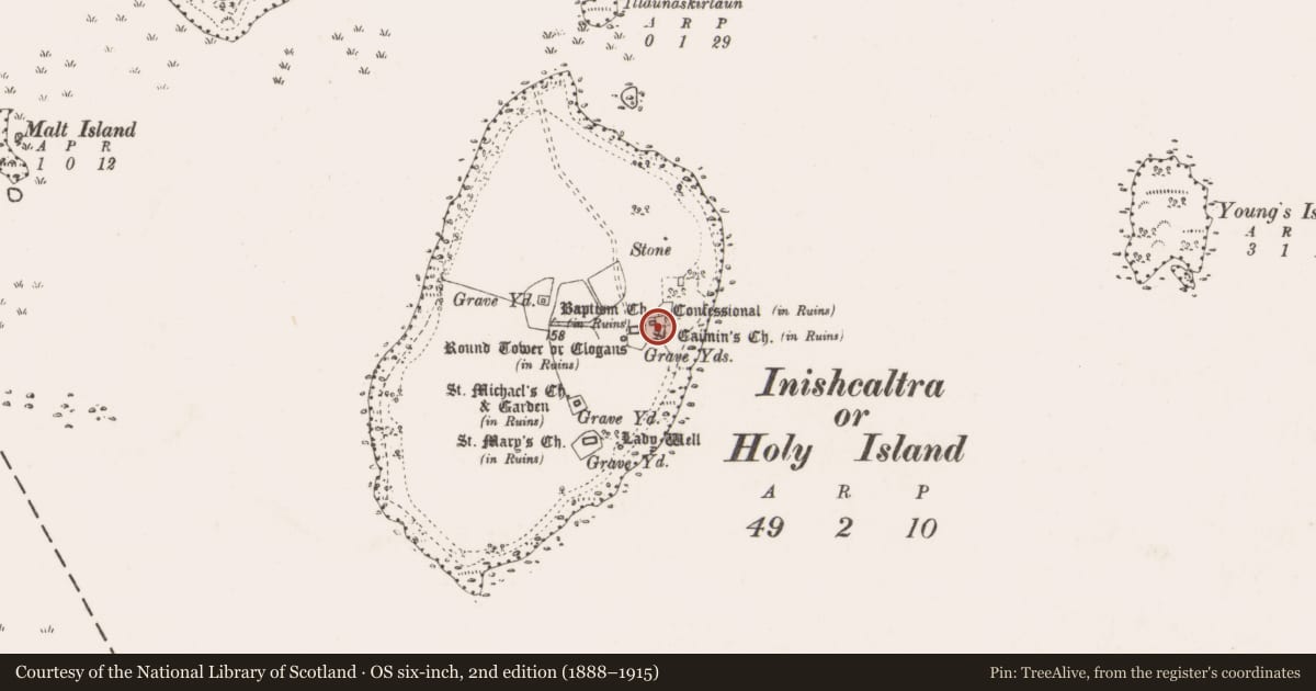 Ordnance Survey six-inch map, 2nd edition (1888–1915) covering the location of Cross-slab, Inishcaltra Or Holy Island, County Clare, with a pin at the register's coordinates