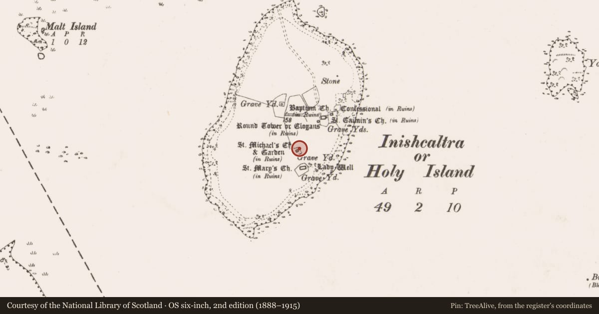 Ordnance Survey six-inch map, 2nd edition (1888–1915) covering the location of Cross, Inishcaltra Or Holy Island, County Clare, with a pin at the register's coordinates