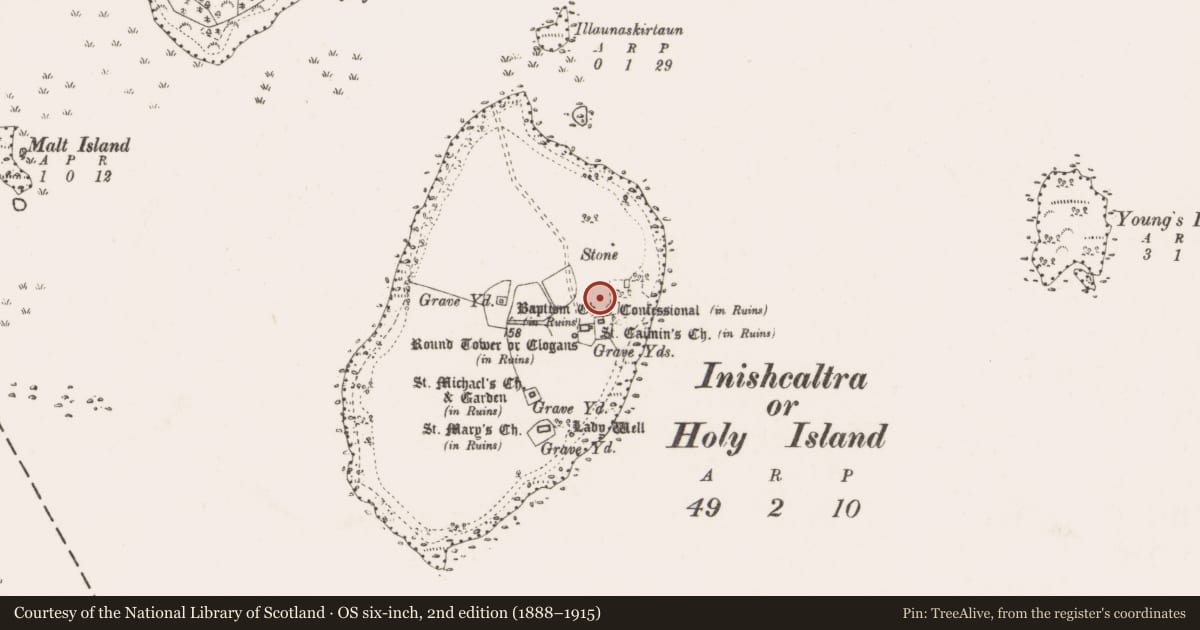 Ordnance Survey six-inch map, 2nd edition (1888–1915) covering the location of Cross, Inishcaltra Or Holy Island, County Clare, with a pin at the register's coordinates