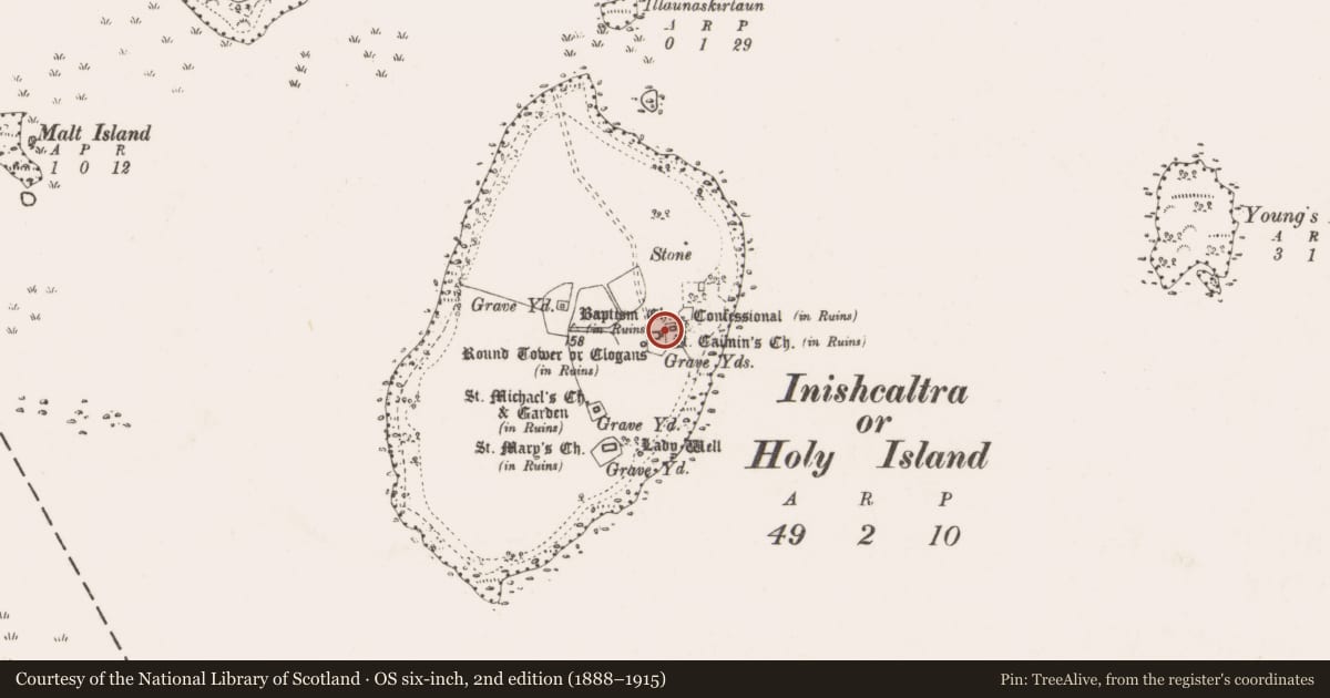 Ordnance Survey six-inch map, 2nd edition (1888–1915) covering the location of Cross, Inishcaltra Or Holy Island, County Clare, with a pin at the register's coordinates