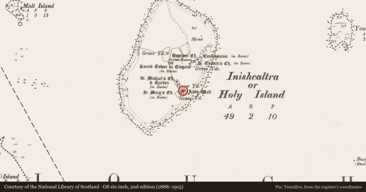 Ordnance Survey six-inch map, 2nd edition (1888–1915) covering the location of Cross-slab, Inishcaltra Or Holy Island, County Clare, with a pin at the register's coordinates
