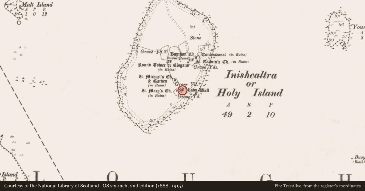 Ordnance Survey six-inch map, 2nd edition (1888–1915) covering the location of Cross-slab, Inishcaltra Or Holy Island, County Clare, with a pin at the register's coordinates