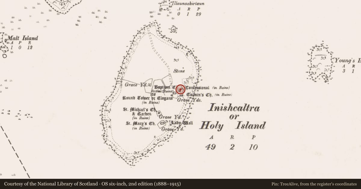 Ordnance Survey six-inch map, 2nd edition (1888–1915) covering the location of Cross-slab, Inishcaltra Or Holy Island, County Clare, with a pin at the register's coordinates