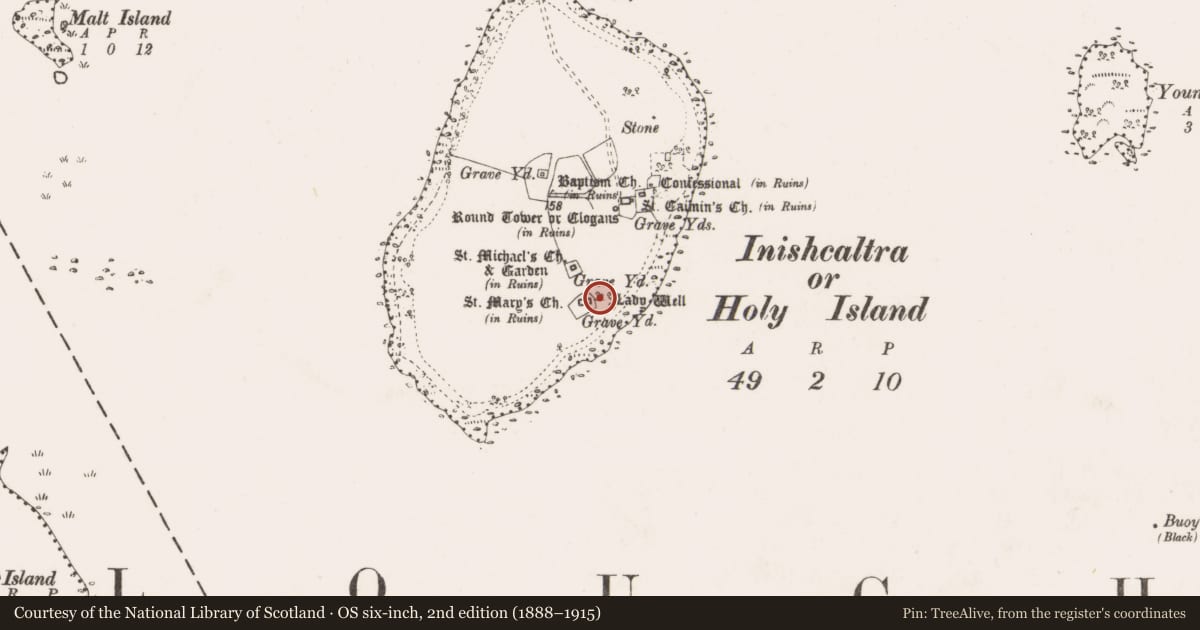 Ordnance Survey six-inch map, 2nd edition (1888–1915) covering the location of Wall monument, Inishcaltra Or Holy Island, County Clare, with a pin at the register's coordinates