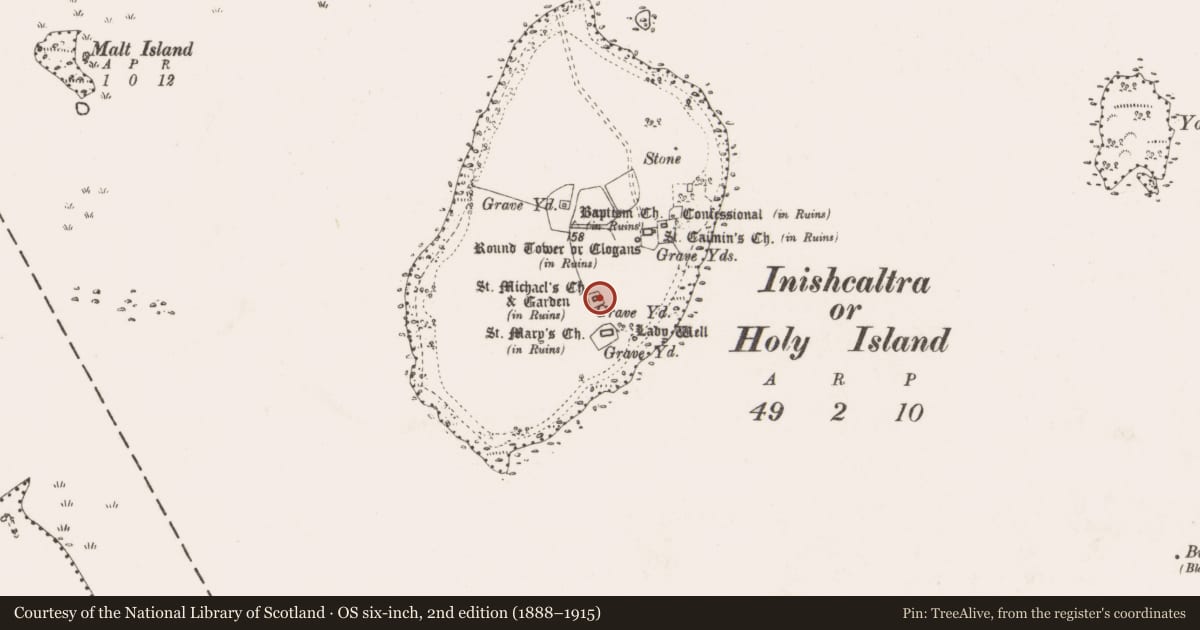 Ordnance Survey six-inch map, 2nd edition (1888–1915) covering the location of Furnace, Inishcaltra Or Holy Island, County Clare, with a pin at the register's coordinates