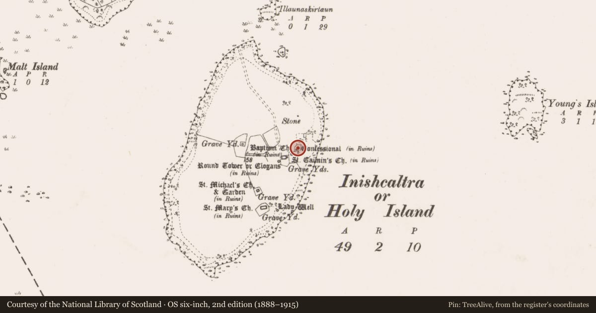 Ordnance Survey six-inch map, 2nd edition (1888–1915) covering the location of Shrine, Inishcaltra Or Holy Island, County Clare, with a pin at the register's coordinates