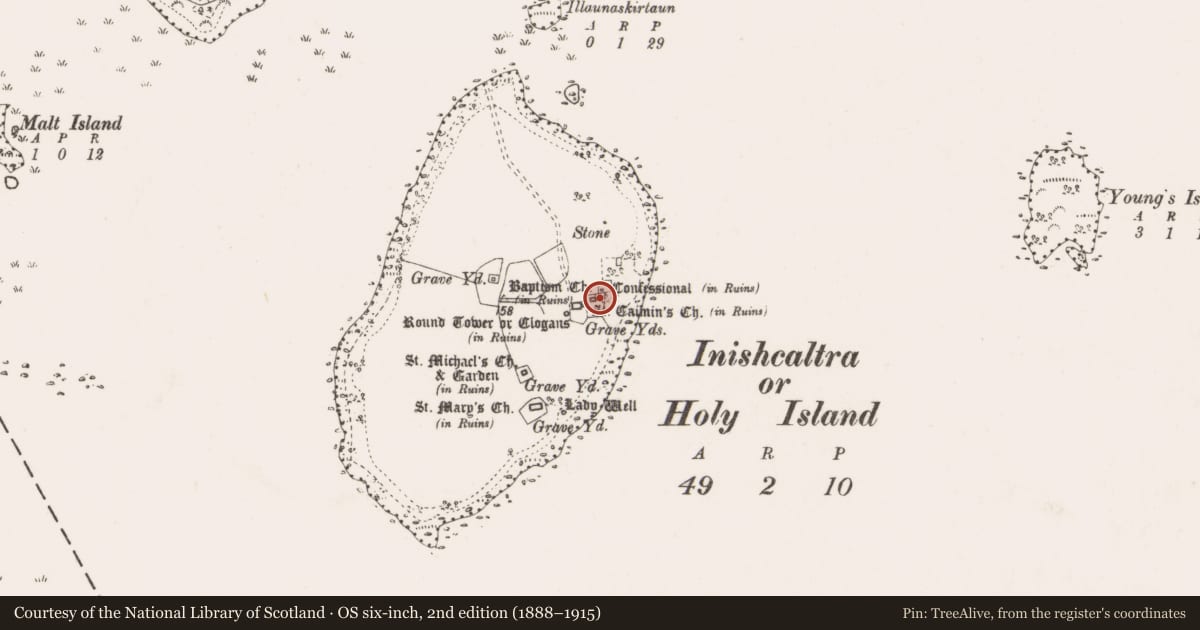 Ordnance Survey six-inch map, 2nd edition (1888–1915) covering the location of Graveslab, Inishcaltra Or Holy Island, County Clare, with a pin at the register's coordinates
