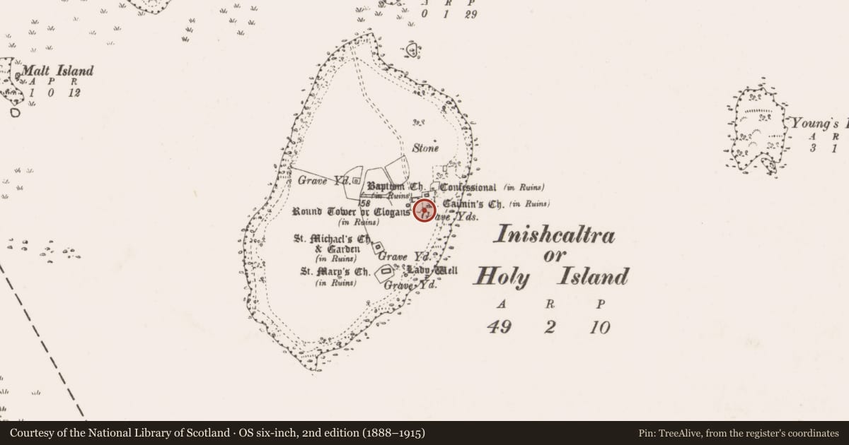 Ordnance Survey six-inch map, 2nd edition (1888–1915) covering the location of Pillar stone, Inishcaltra Or Holy Island, County Clare, with a pin at the register's coordinates
