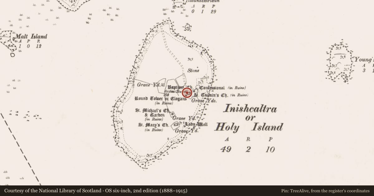 Ordnance Survey six-inch map, 2nd edition (1888–1915) covering the location of Burial, Inishcaltra Or Holy Island, County Clare, with a pin at the register's coordinates