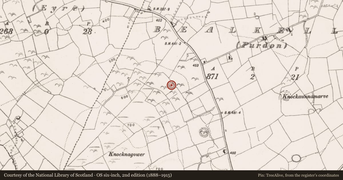Ordnance Survey six-inch map, 2nd edition (1888–1915) covering the location of Earthwork, Bealkelly (Purdon), County Clare, with a pin at the register's coordinates