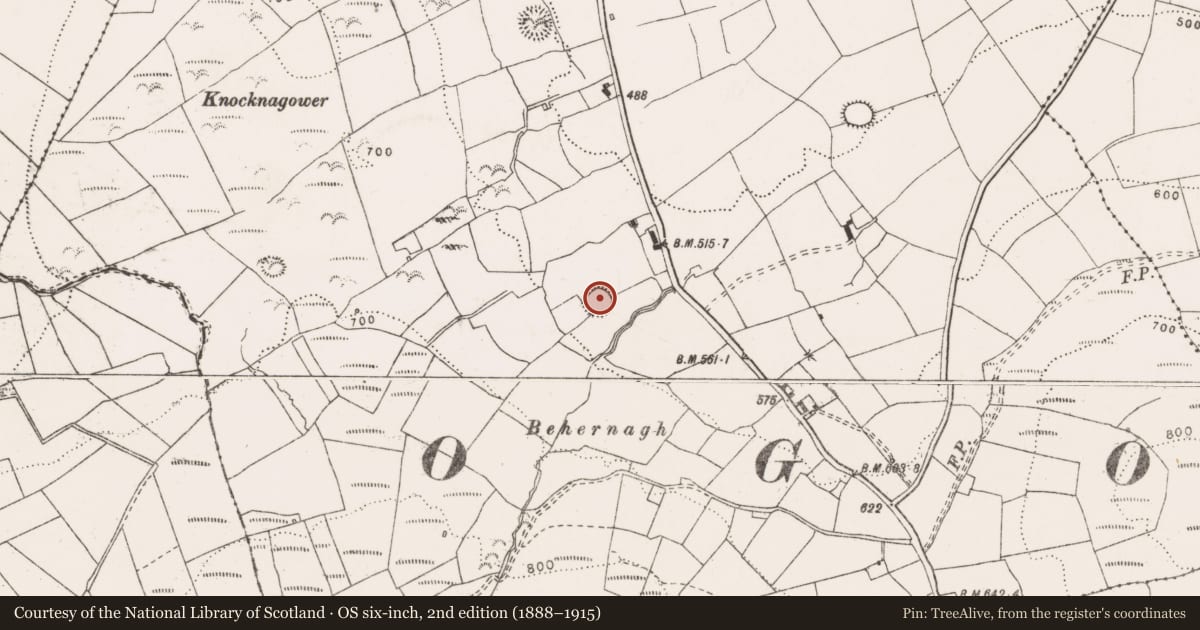 Ordnance Survey six-inch map, 2nd edition (1888–1915) covering the location of Ringfort - rath, Bealkelly (Purdon), County Clare, with a pin at the register's coordinates