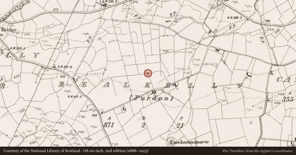 Ordnance Survey six-inch map, 2nd edition (1888–1915) covering the location of Ringfort - cashel, Bealkelly (Purdon), County Clare, with a pin at the register's coordinates