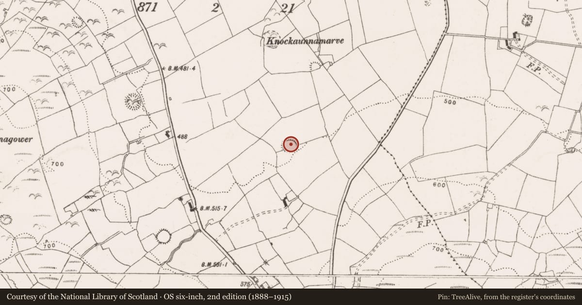 Ordnance Survey six-inch map, 2nd edition (1888–1915) covering the location of Ringfort - rath, Bealkelly (Purdon), County Clare, with a pin at the register's coordinates