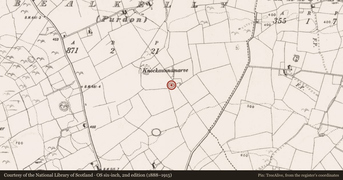 Ordnance Survey six-inch map, 2nd edition (1888–1915) covering the location of Ringfort - rath, Bealkelly (Purdon), County Clare, with a pin at the register's coordinates
