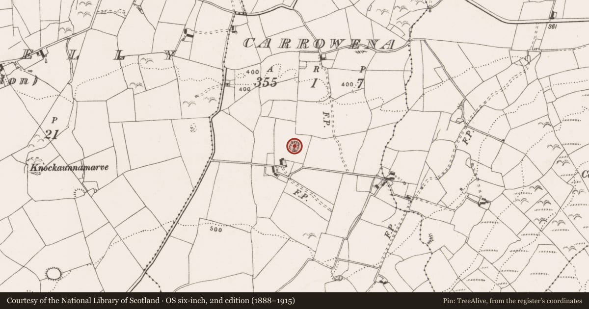 Ordnance Survey six-inch map, 2nd edition (1888–1915) covering the location of Ringfort - cashel, Carrowena, County Clare, with a pin at the register's coordinates