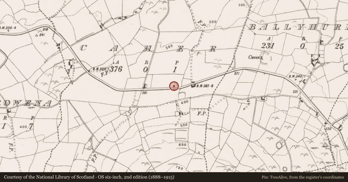 Ordnance Survey six-inch map, 2nd edition (1888–1915) covering the location of Ringfort - rath, Caher, County Clare, with a pin at the register's coordinates
