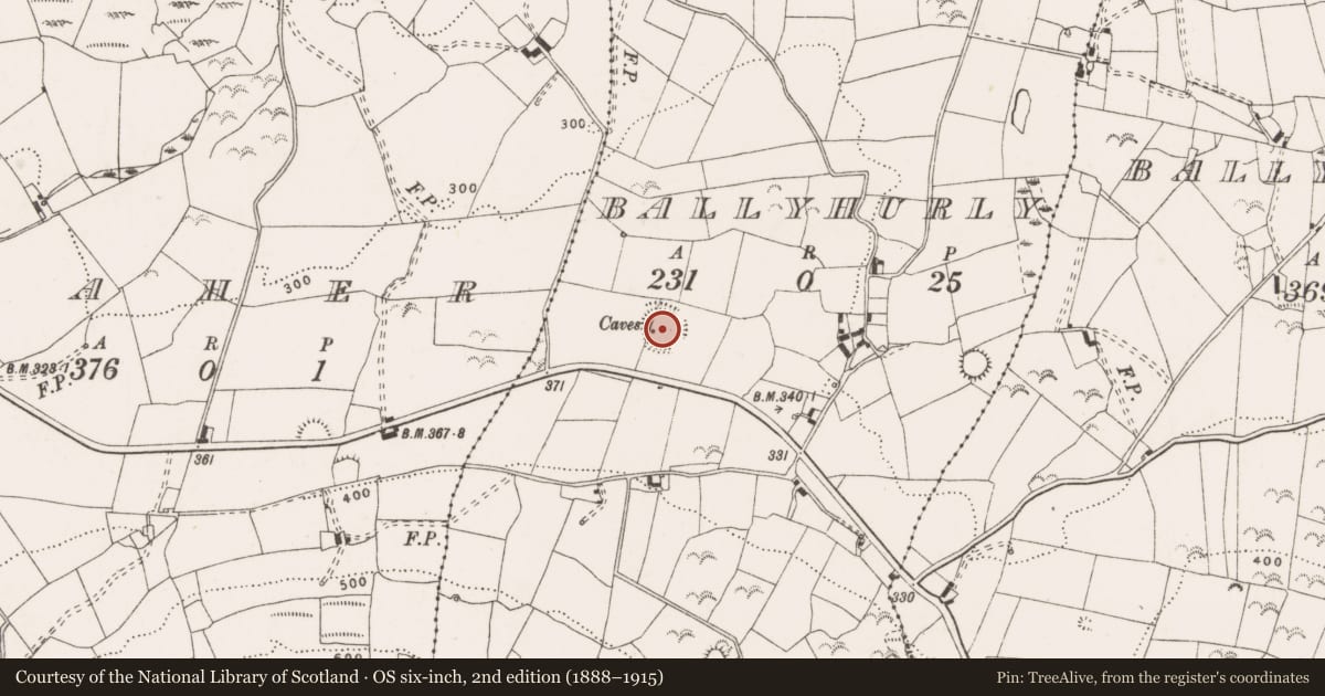 Ordnance Survey six-inch map, 2nd edition (1888–1915) covering the location of Ecclesiastical enclosure, Ballyhurly, County Clare, with a pin at the register's coordinates