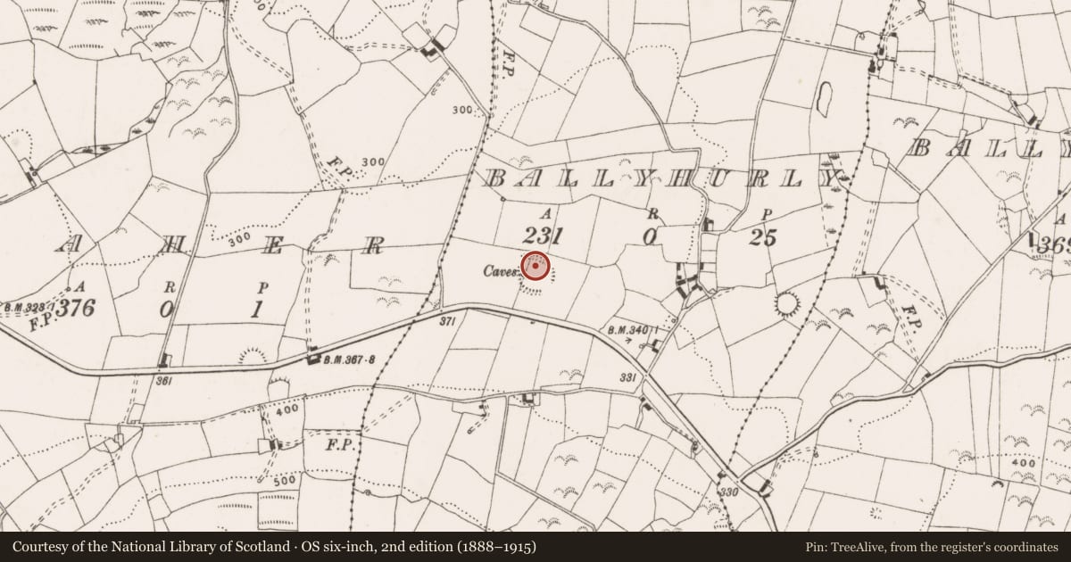 Ordnance Survey six-inch map, 2nd edition (1888–1915) covering the location of Bullaun stone, Ballyhurly, County Clare, with a pin at the register's coordinates