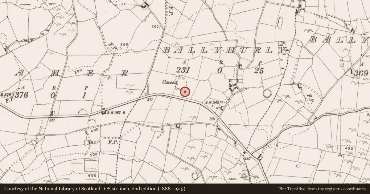 Ordnance Survey six-inch map, 2nd edition (1888–1915) covering the location of Bullaun stone, Ballyhurly, County Clare, with a pin at the register's coordinates