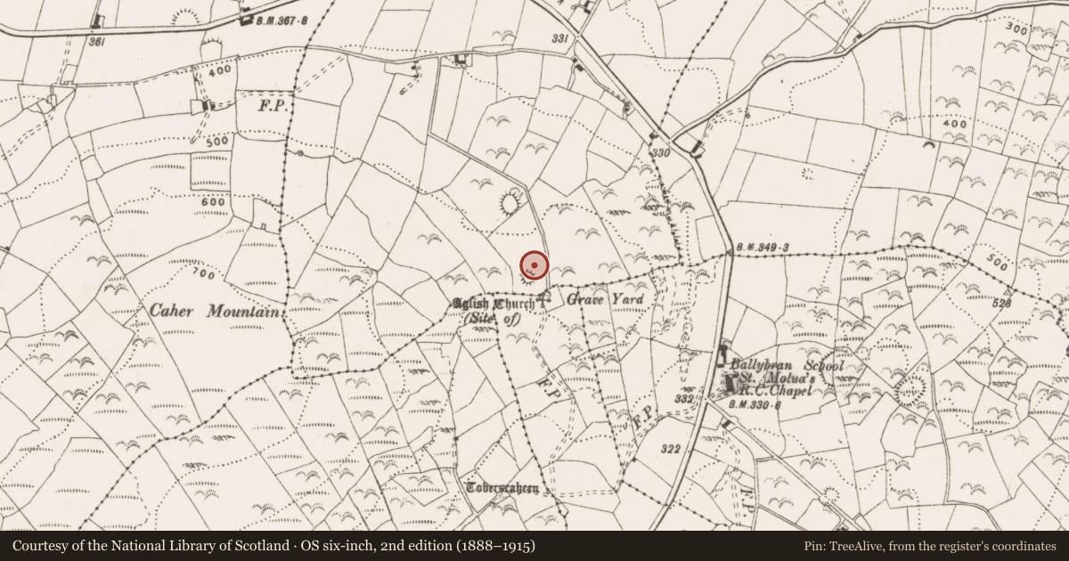 Ordnance Survey six-inch map, 2nd edition (1888–1915) covering the location of Excavation - miscellaneous, Ballyhurly, County Clare, with a pin at the register's coordinates