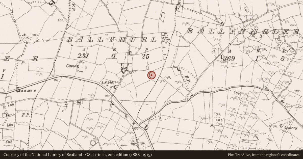 Ordnance Survey six-inch map, 2nd edition (1888–1915) covering the location of Enclosure, Ballyhurly, County Clare, with a pin at the register's coordinates
