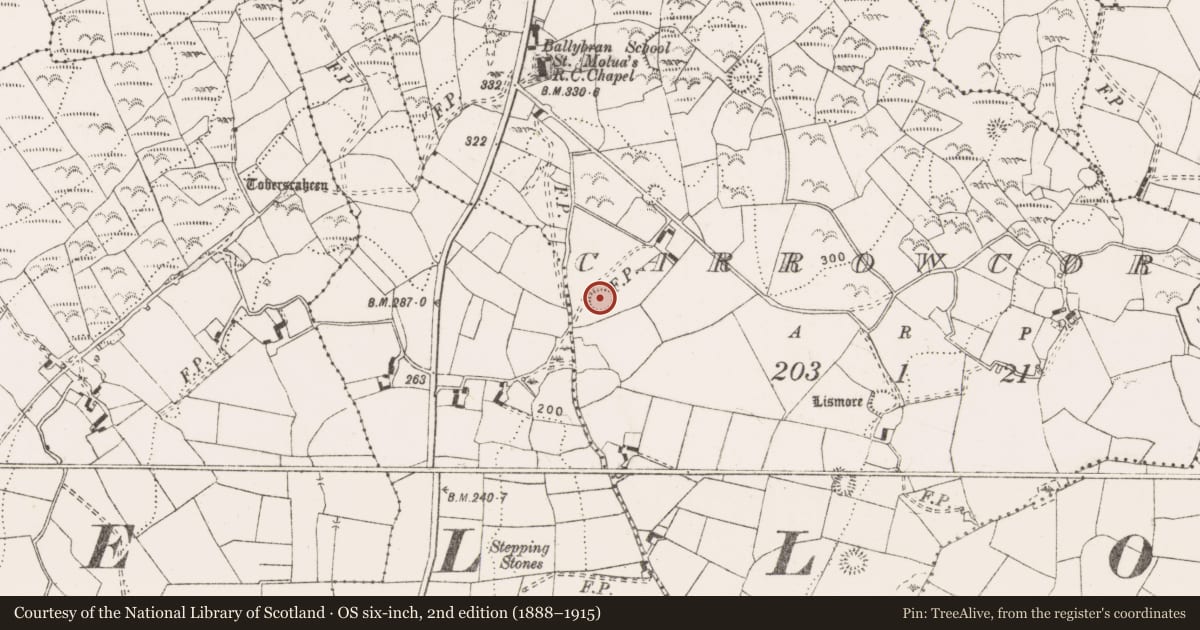 Ordnance Survey six-inch map, 2nd edition (1888–1915) covering the location of Ringfort - rath, Carrowcore, County Clare, with a pin at the register's coordinates