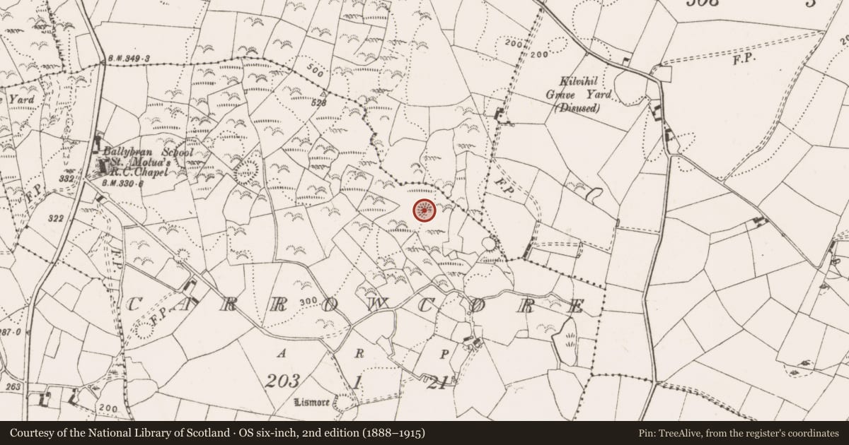 Ordnance Survey six-inch map, 2nd edition (1888–1915) covering the location of Earthwork, Carrowcore, County Clare, with a pin at the register's coordinates