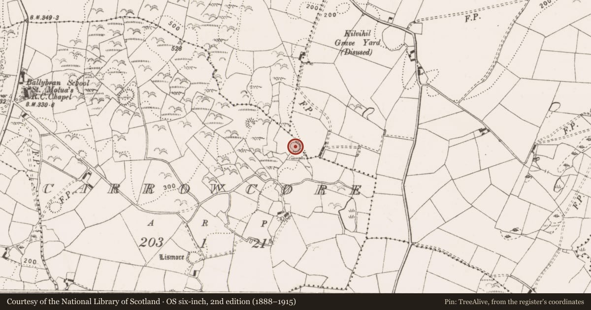 Ordnance Survey six-inch map, 2nd edition (1888–1915) covering the location of Ringfort - cashel, Carrowcore, County Clare, with a pin at the register's coordinates