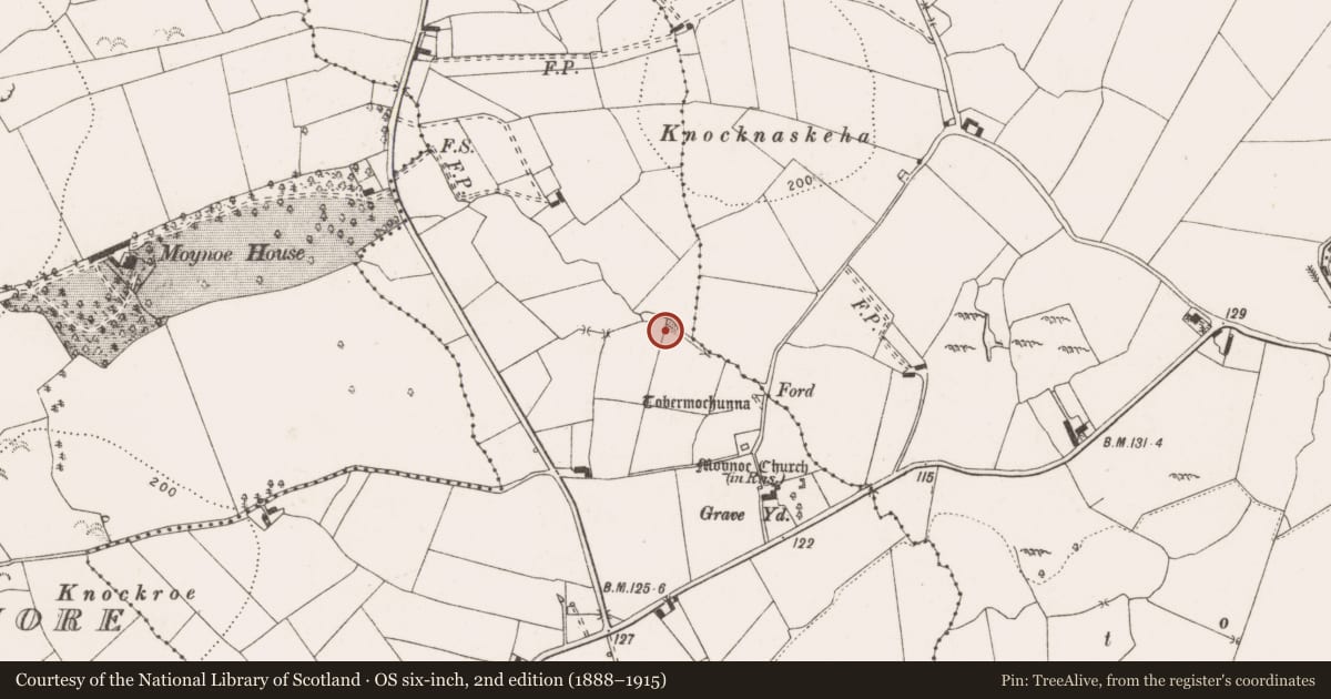 Ordnance Survey six-inch map, 2nd edition (1888–1915) covering the location of Bullaun stone, Moynoe, County Clare, with a pin at the register's coordinates