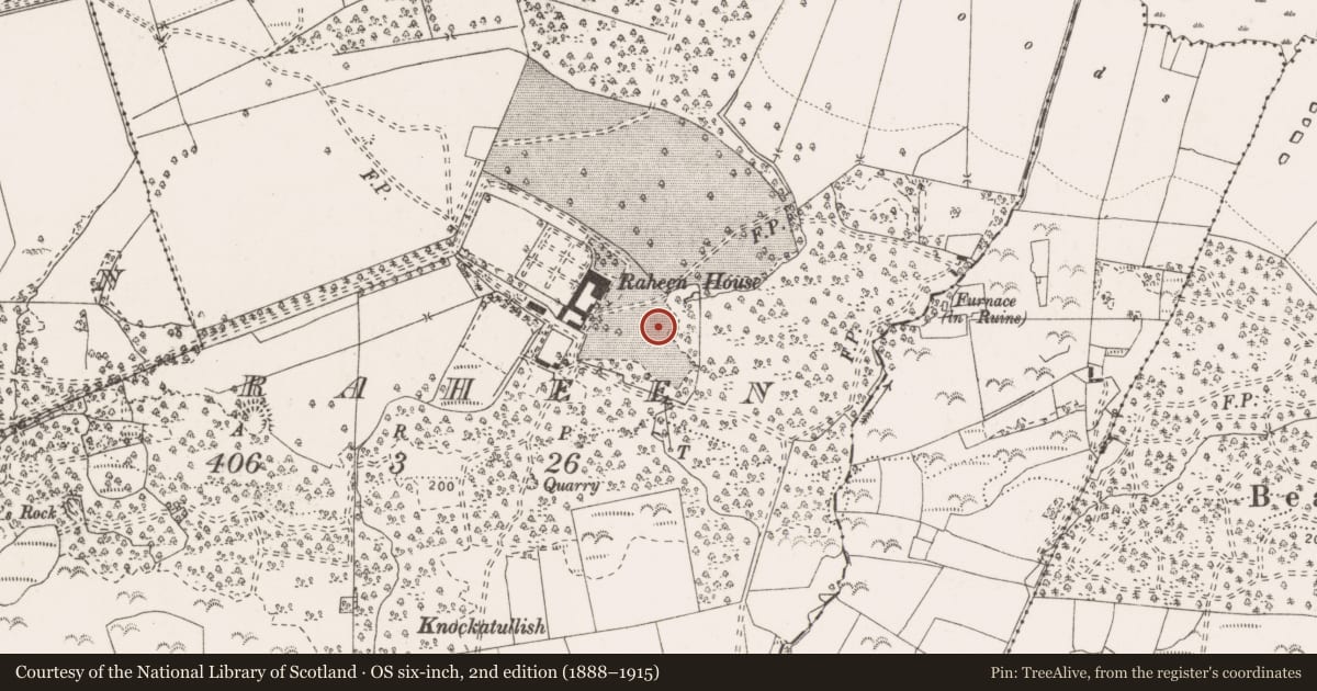 Ordnance Survey six-inch map, 2nd edition (1888–1915) covering the location of Ritual site - holy tree/bush, Raheen, County Clare, with a pin at the register's coordinates