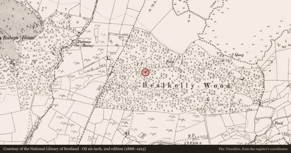 Ordnance Survey six-inch map, 2nd edition (1888–1915) covering the location of Ritual site - holy well, Bealkelly (Purdon), County Clare, with a pin at the register's coordinates