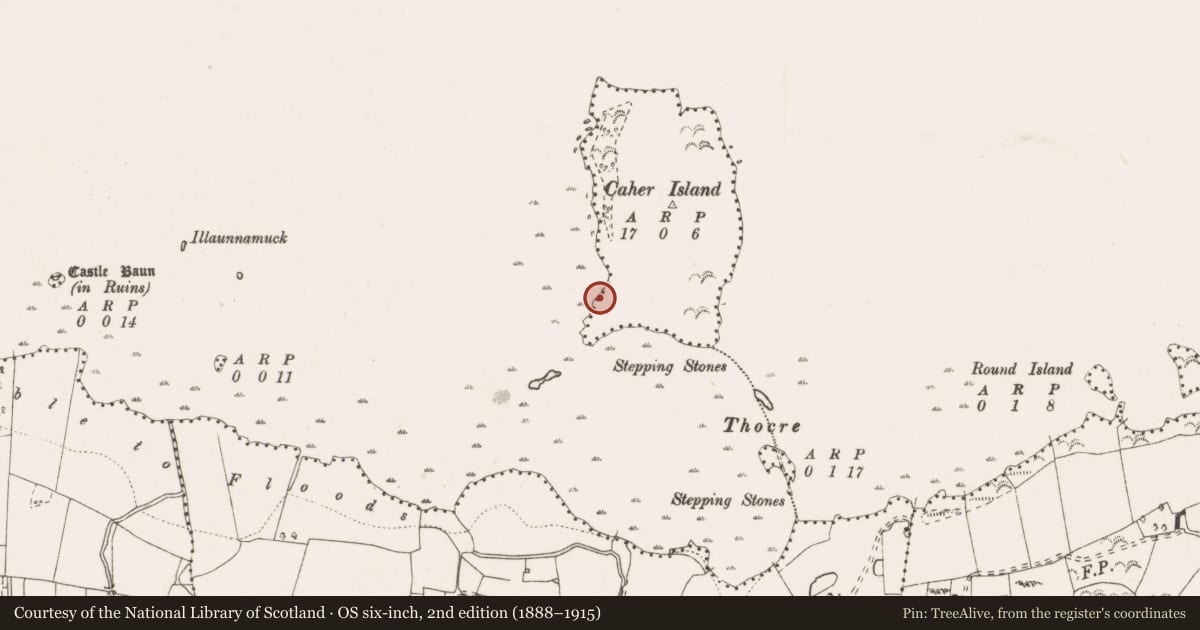Ordnance Survey six-inch map, 2nd edition (1888–1915) covering the location of Crannog, Caher Island, County Clare, with a pin at the register's coordinates