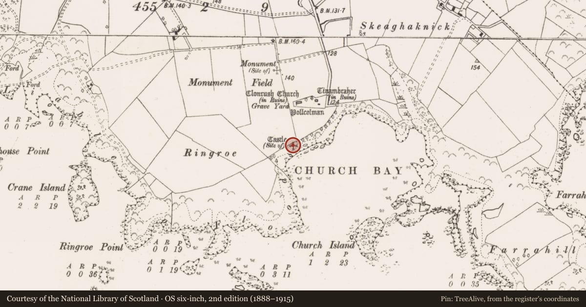Ordnance Survey six-inch map, 2nd edition (1888–1915) covering the location of Castle - unclassified, Meelick, County Clare, with a pin at the register's coordinates