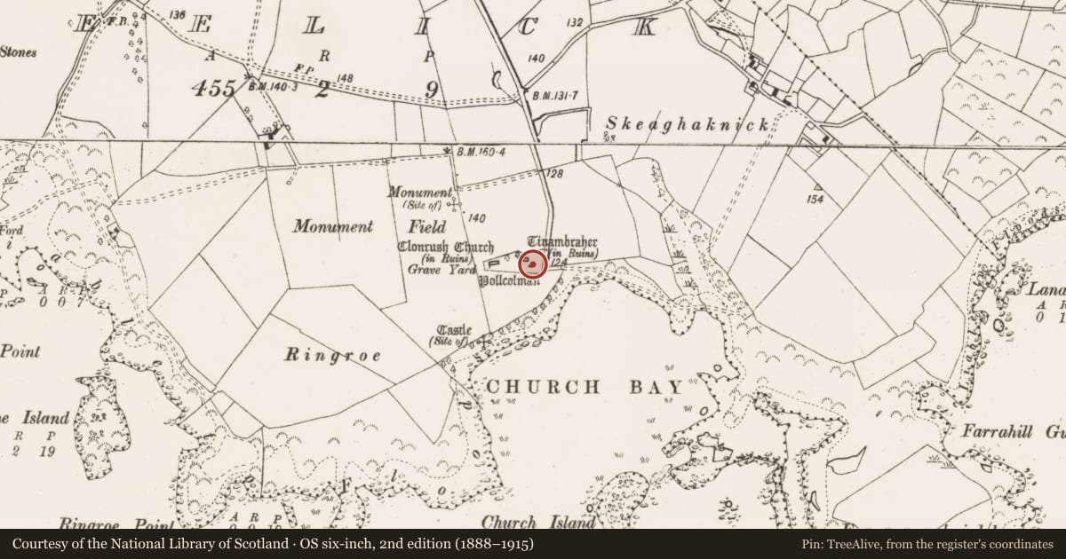 Ordnance Survey six-inch map, 2nd edition (1888–1915) covering the location of Shrine, Meelick, County Clare, with a pin at the register's coordinates