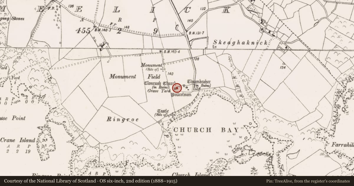 Ordnance Survey six-inch map, 2nd edition (1888–1915) covering the location of Graveslab, Meelick, County Clare, with a pin at the register's coordinates