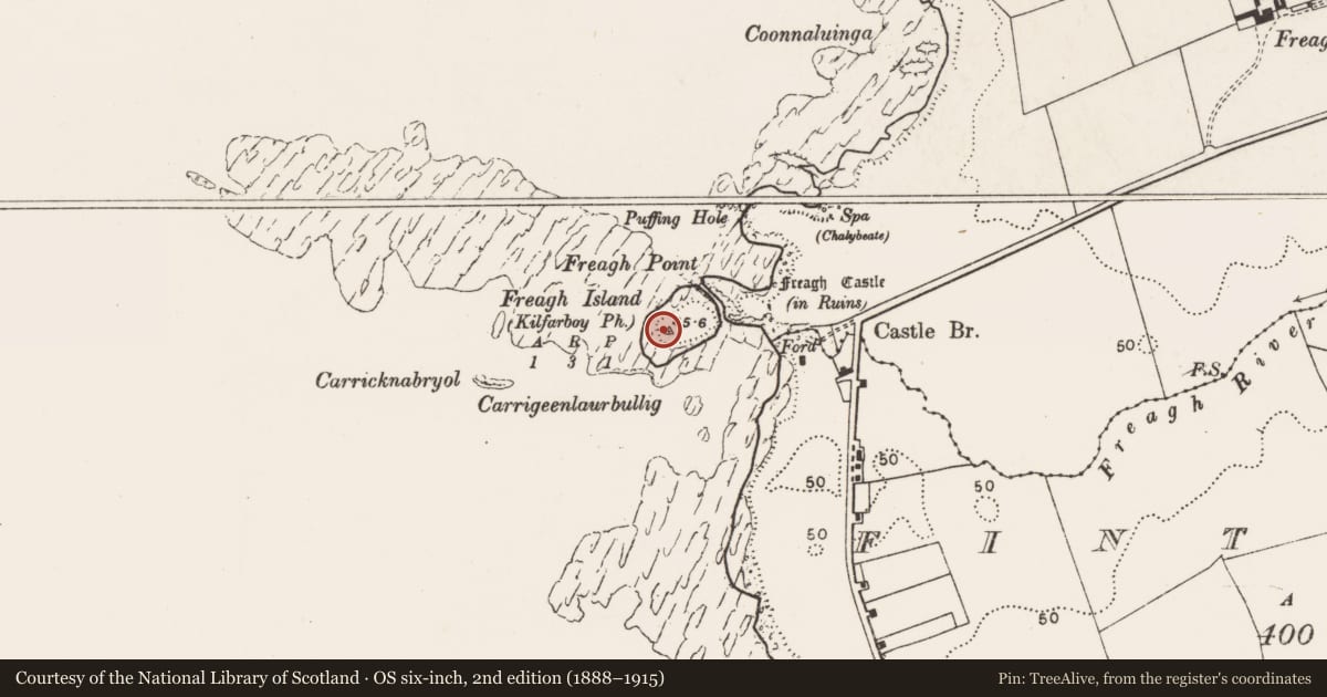 Ordnance Survey six-inch map, 2nd edition (1888–1915) covering the location of Cairn - unclassified, Freaghcastle, County Clare, with a pin at the register's coordinates