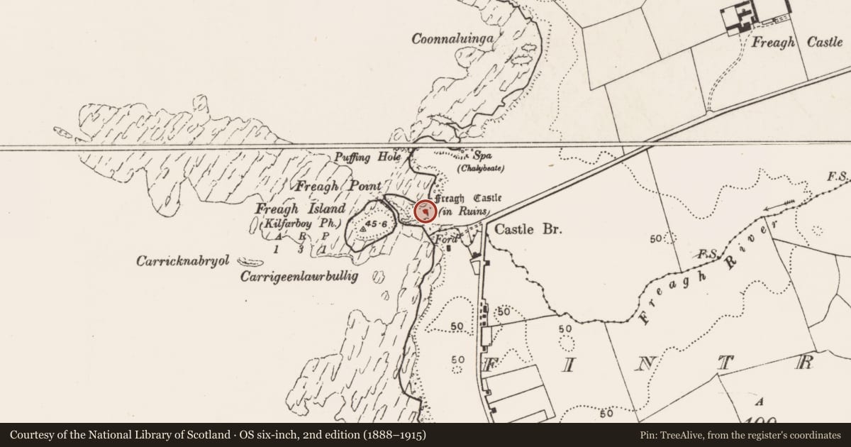 Ordnance Survey six-inch map, 2nd edition (1888–1915) covering the location of Midden, Freaghcastle, County Clare, with a pin at the register's coordinates