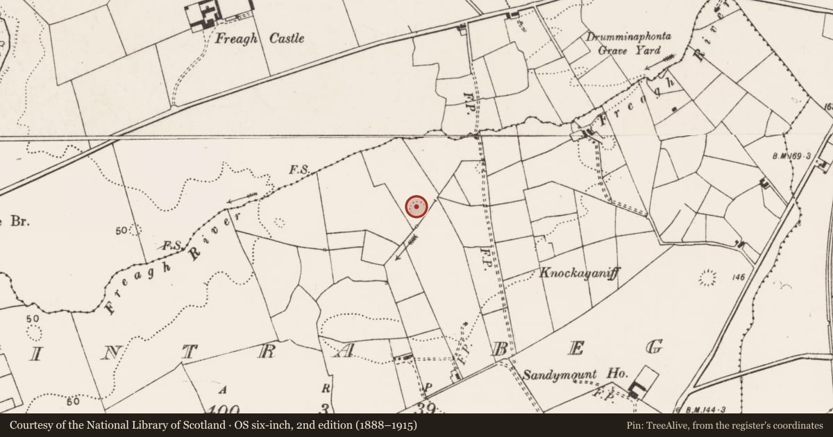 Ordnance Survey six-inch map, 2nd edition (1888–1915) covering the location of Ringfort - rath, Fintra Beg, County Clare, with a pin at the register's coordinates