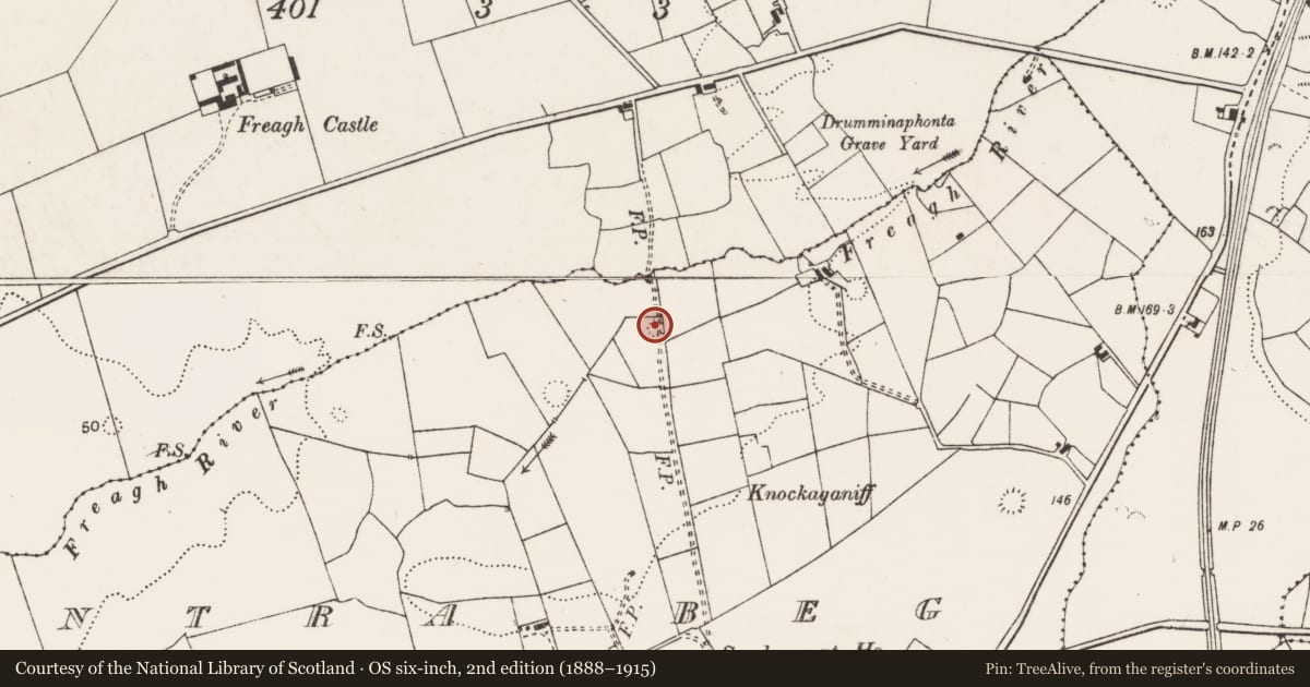 Ordnance Survey six-inch map, 2nd edition (1888–1915) covering the location of Enclosure, Fintra Beg, County Clare, with a pin at the register's coordinates