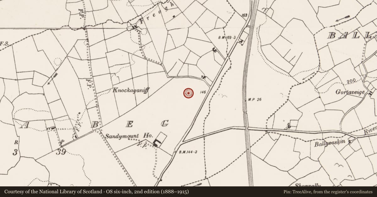 Ordnance Survey six-inch map, 2nd edition (1888–1915) covering the location of Ringfort - rath, Fintra Beg, County Clare, with a pin at the register's coordinates