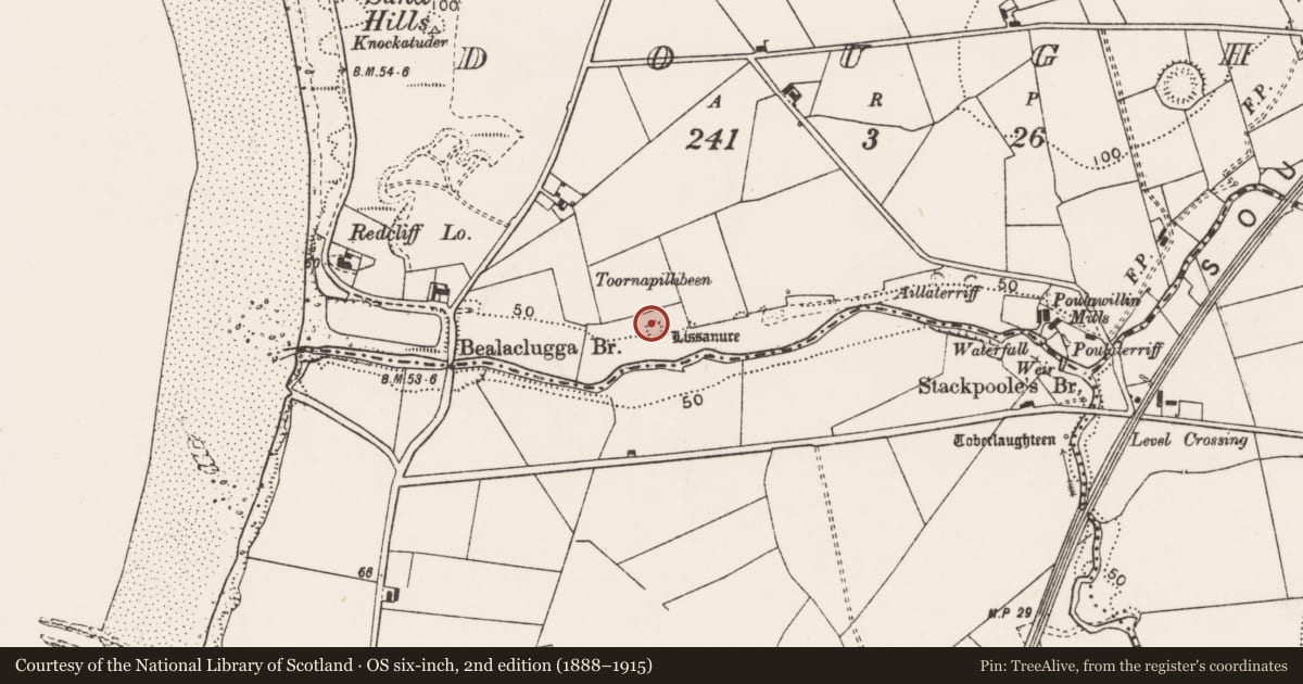 Ordnance Survey six-inch map, 2nd edition (1888–1915) covering the location of Ringfort - rath, Dough, County Clare, with a pin at the register's coordinates