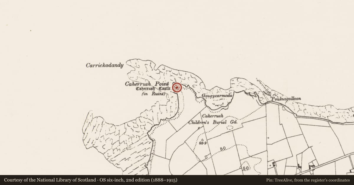 Ordnance Survey six-inch map, 2nd edition (1888–1915) covering the location of Castle - tower house, Caherrush, County Clare, with a pin at the register's coordinates
