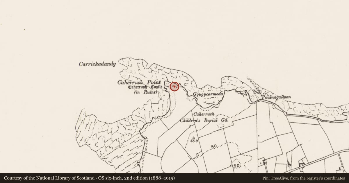 Ordnance Survey six-inch map, 2nd edition (1888–1915) covering the location of Hut site, Caherrush, County Clare, with a pin at the register's coordinates